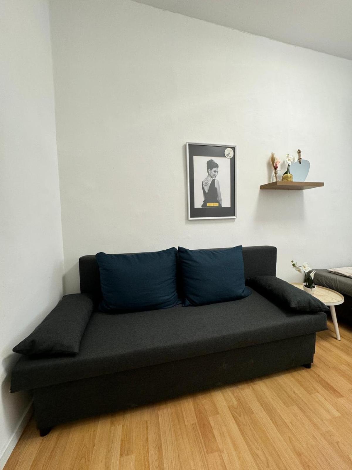 Apartment Comfy In A Shared Apt, 8min To Rathausplatz Wien